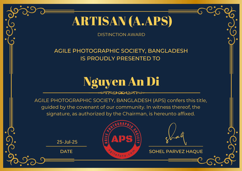 Nhiếp ảnh gia Nguyễn An Di AWARDS 01